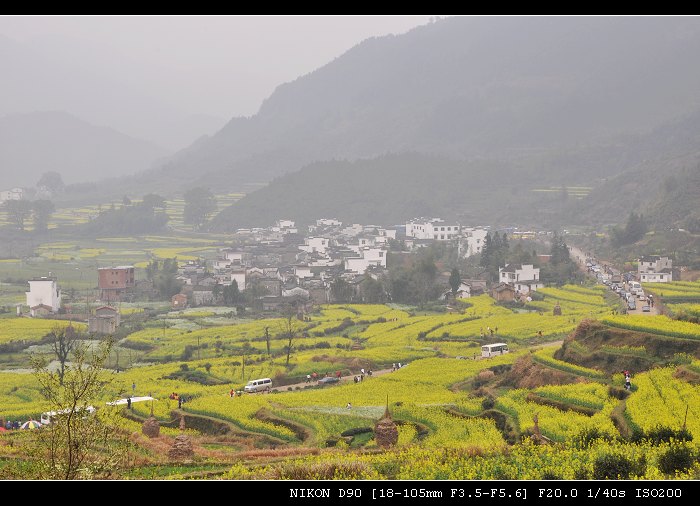DSC_0244.jpg