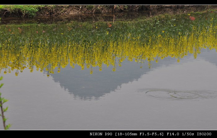 DSC_0094.jpg