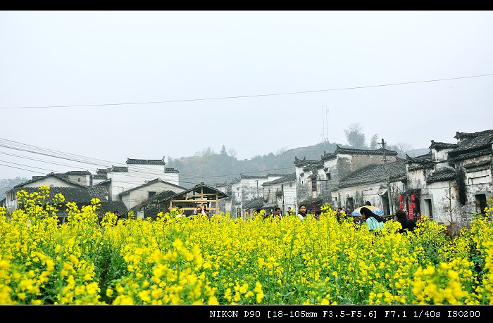 DSC_0032.jpg