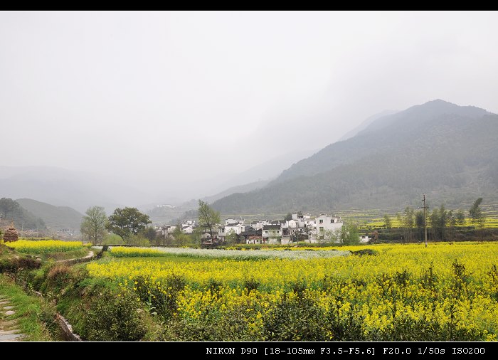 DSC_0272.jpg