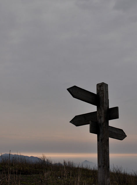 DSC_0218.JPG