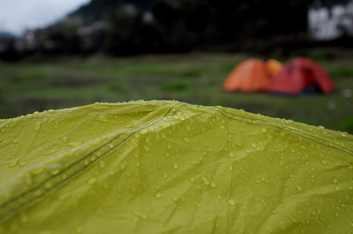 DSC_0679.jpg