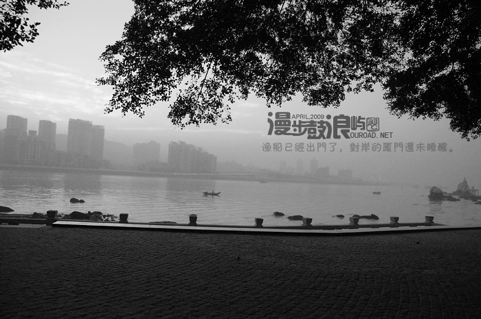 DSC_gly0411_002.jpg