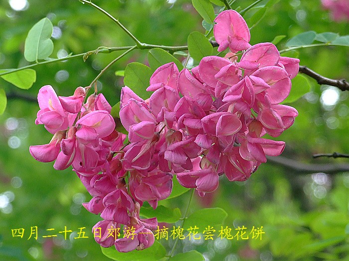 DSCF8716.JPG