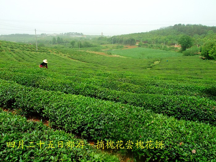DSCF8630.JPG