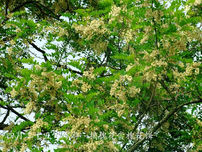 DSCF8683.JPG