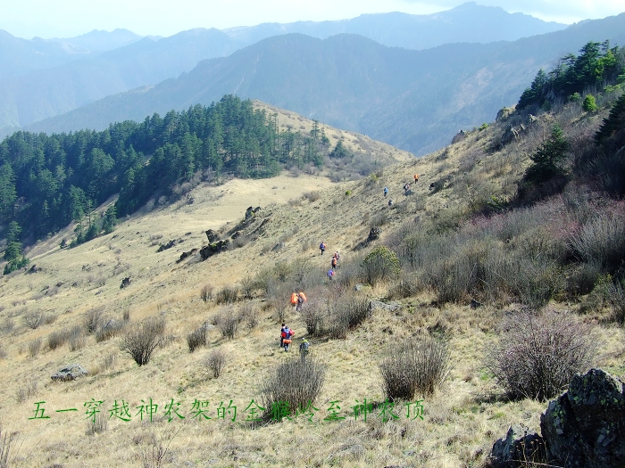 DSCF8867.jpg
