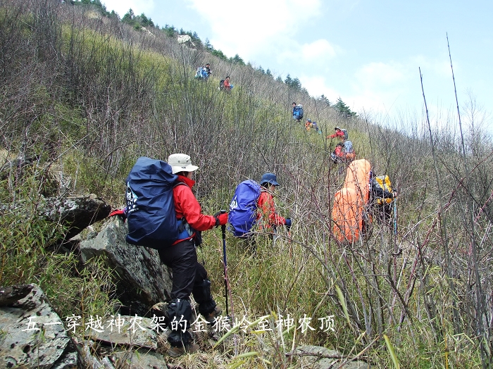 DSCF8949.jpg