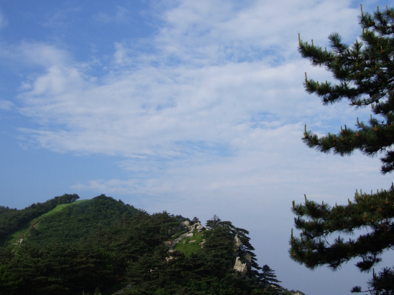 DSCF5805.jpg