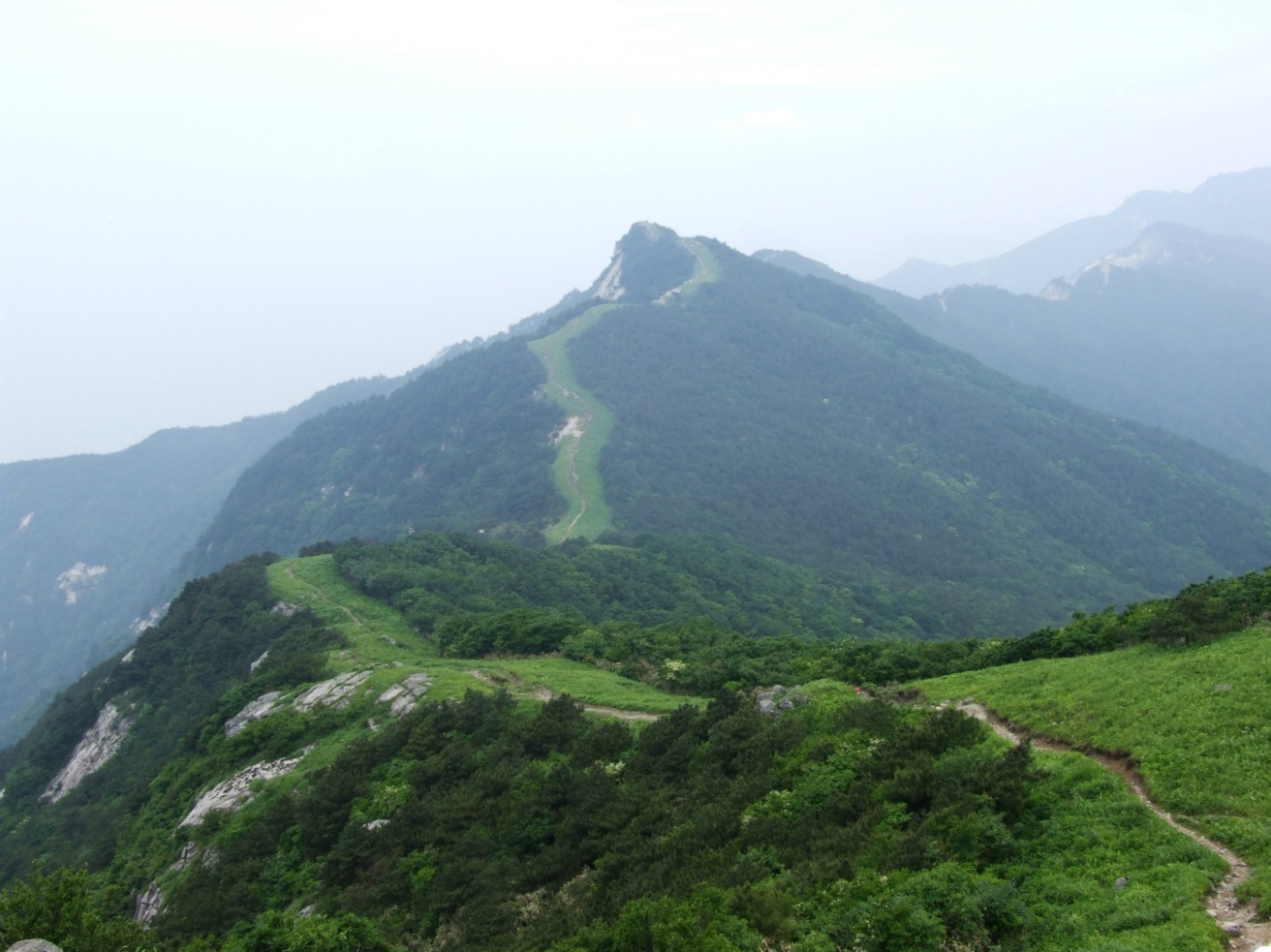 DSCF5705.jpg