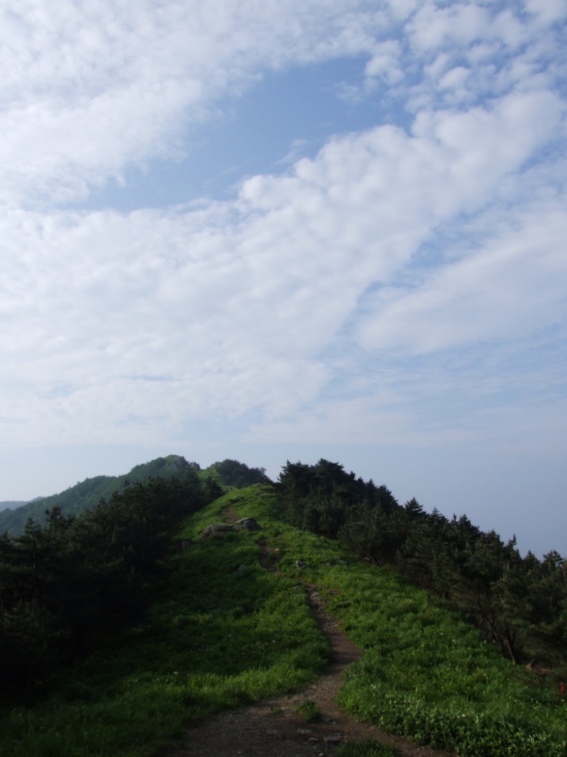 DSCF5810.jpg