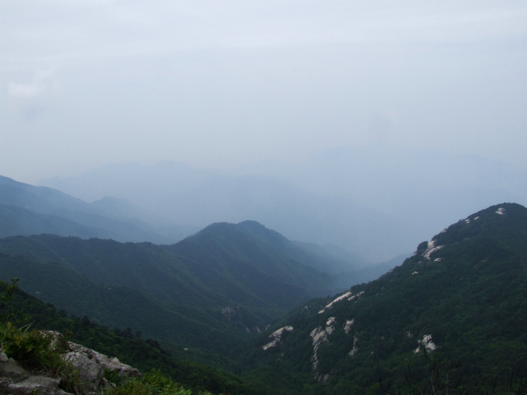 DSCF5695.jpg