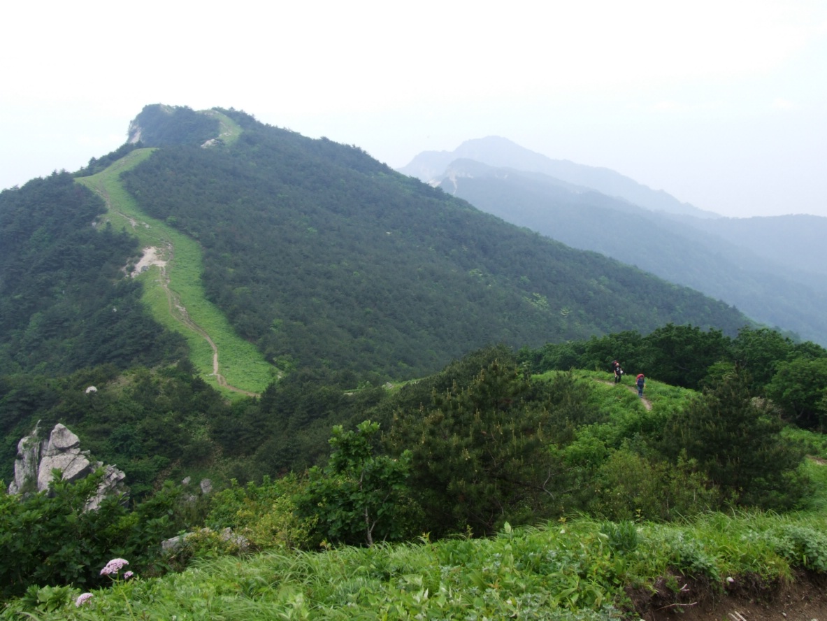 DSCF5704.jpg
