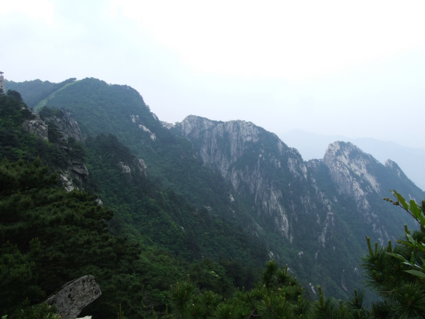 DSCF5711.jpg