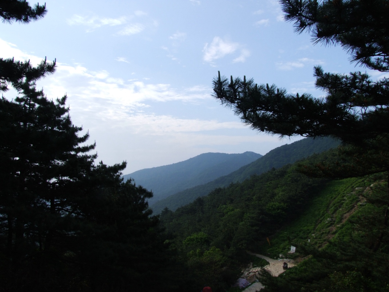 DSCF5806.jpg