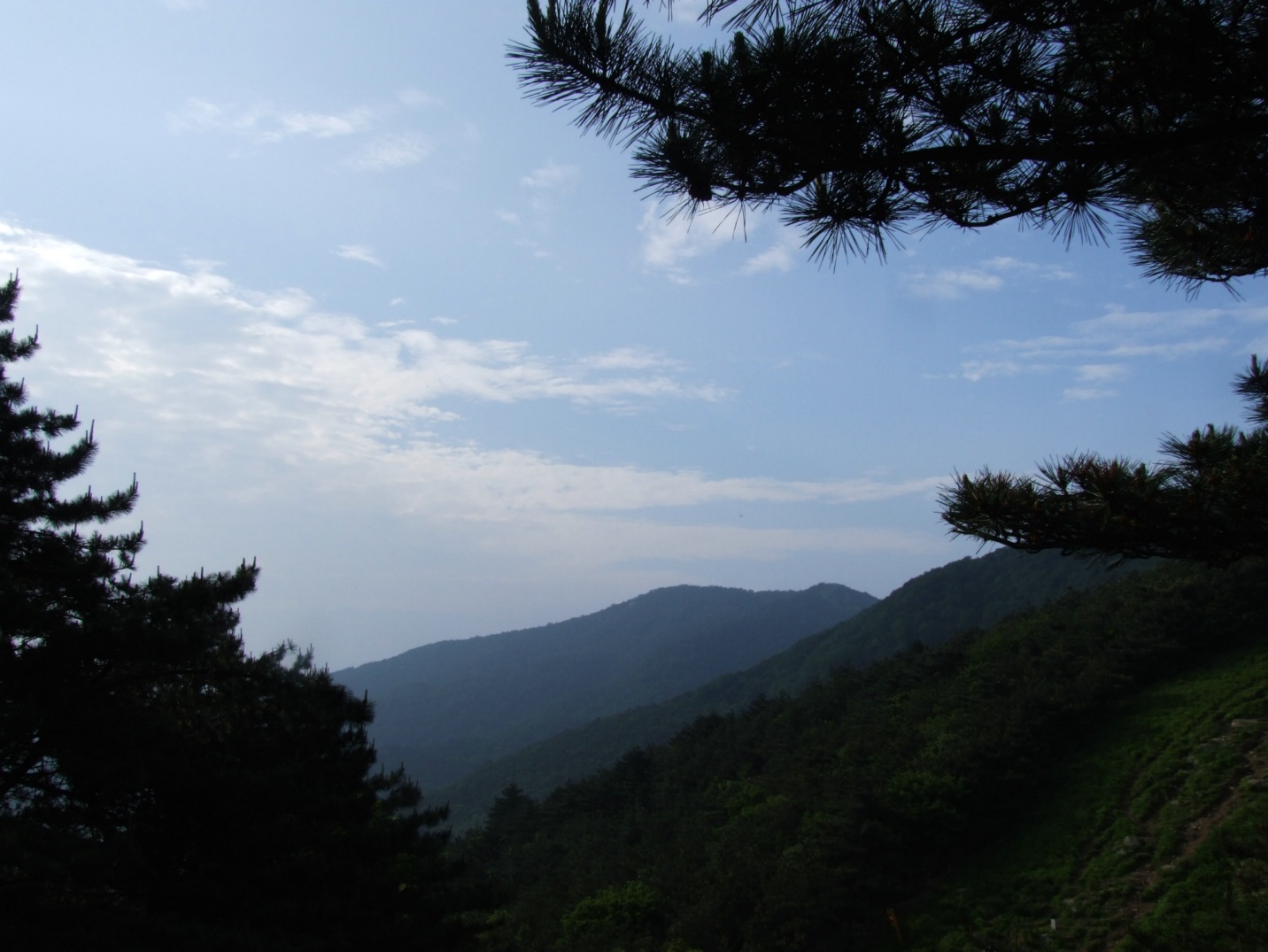 DSCF5807.jpg