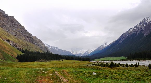 DSC_0238.jpg