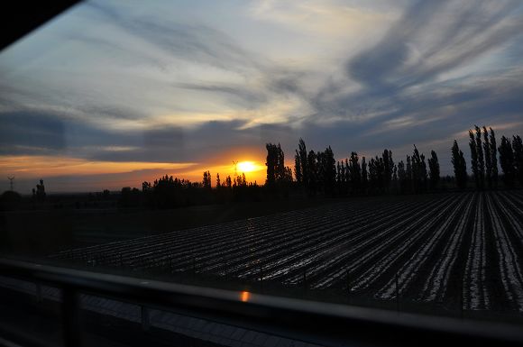 DSC_0091.jpg