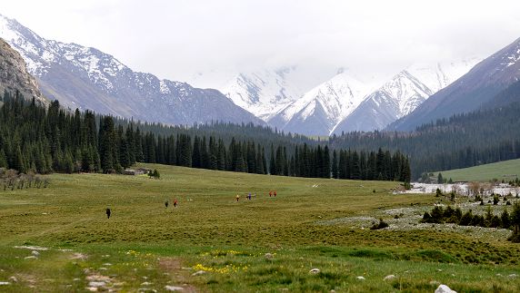 DSC_0239.jpg