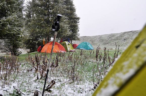 DSC_0255.jpg