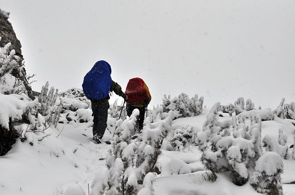 DSC_0365.jpg