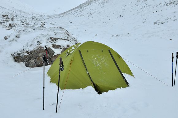DSC_0596.jpg