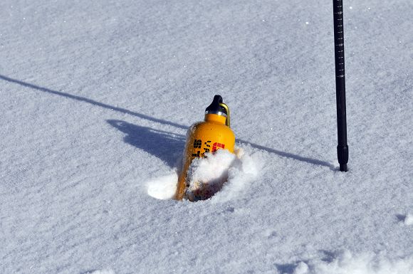 DSC_07361.jpg