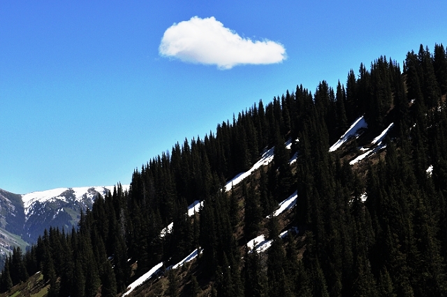 DSC_1120.jpg