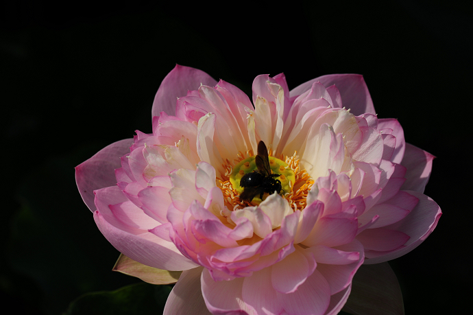09ɻ 087.jpg