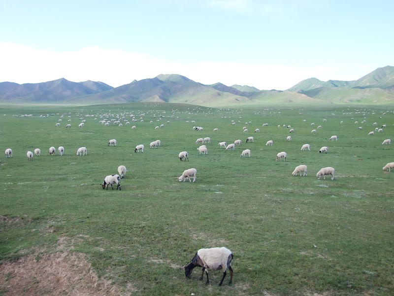 DSCF3376.jpg