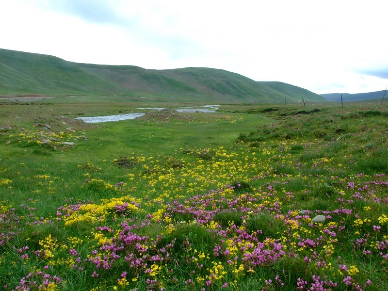 DSCF3937.jpg