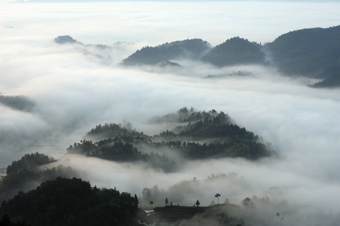 ˮī01.jpg