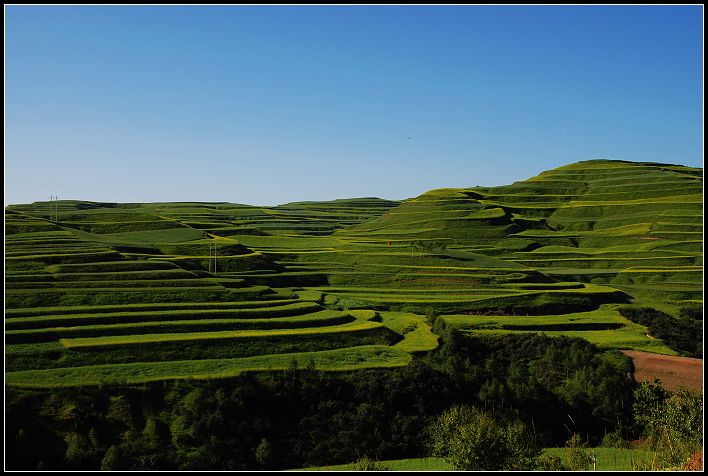 去丹麻路上景色1.jpg
