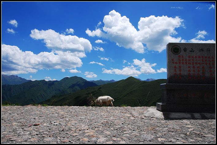 路边景3.jpg