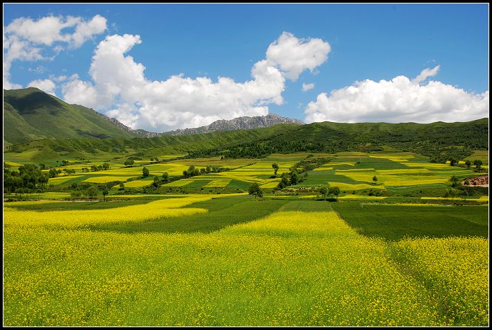 路边景2.jpg