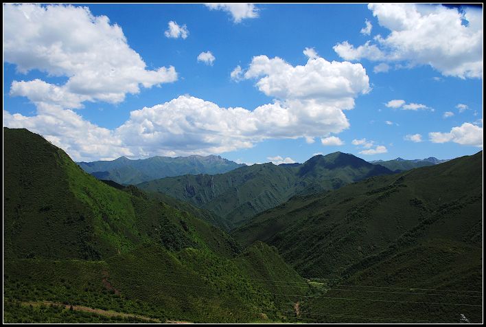 路边景5.jpg