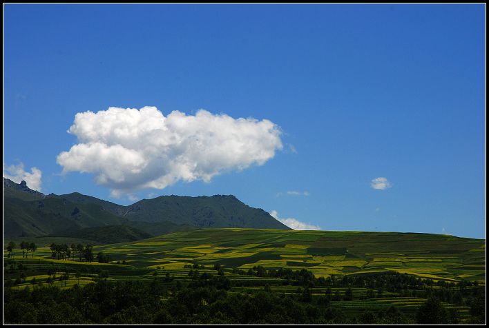 路边景1.jpg