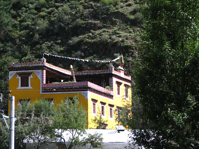 IMG_7866.JPG