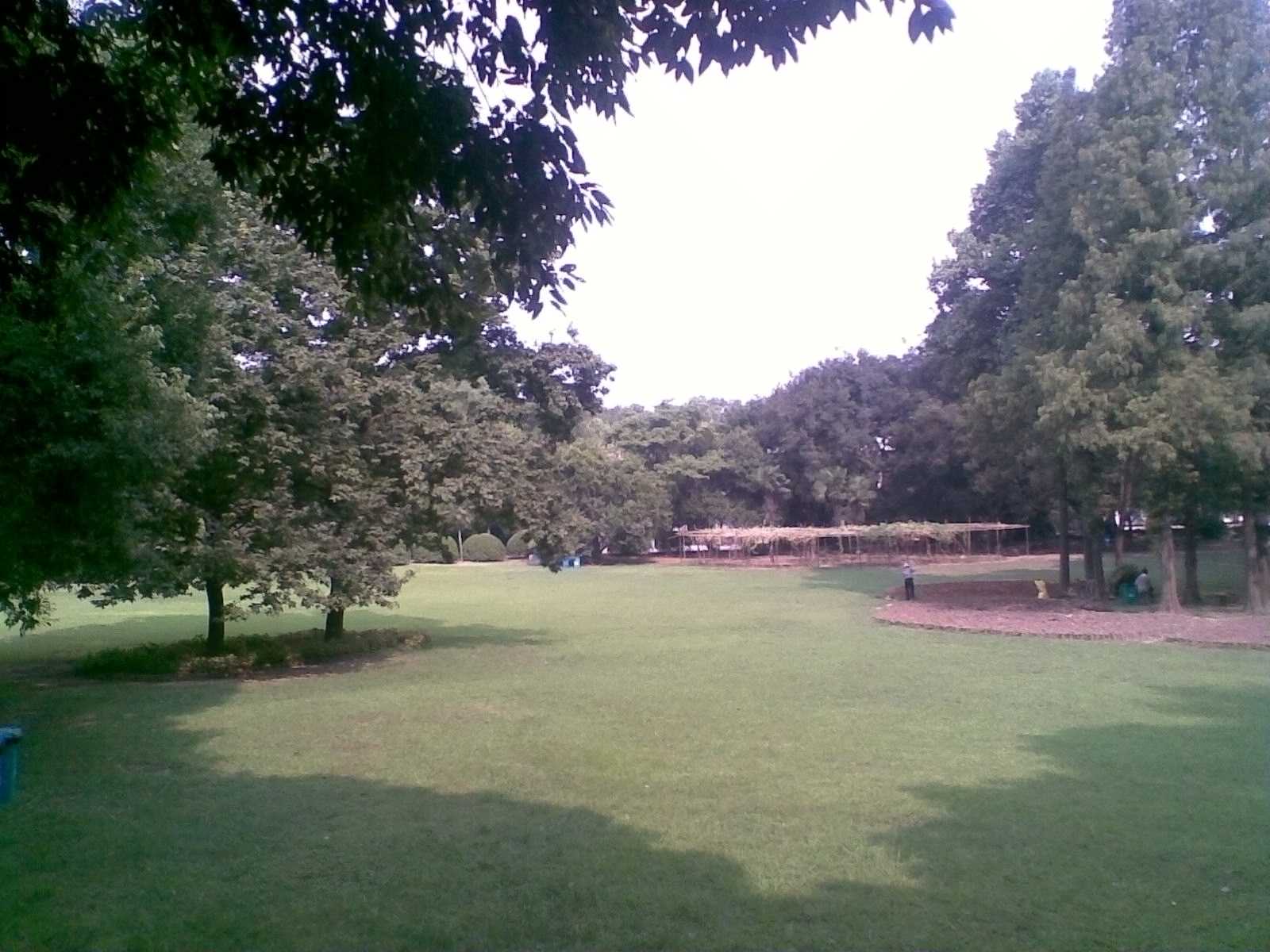 将是我们用餐及游戏活动地点的中心草坪，位于科普楼右侧