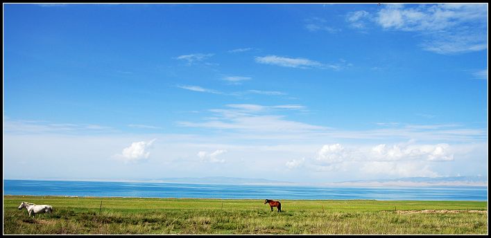 青海湖边5.jpg