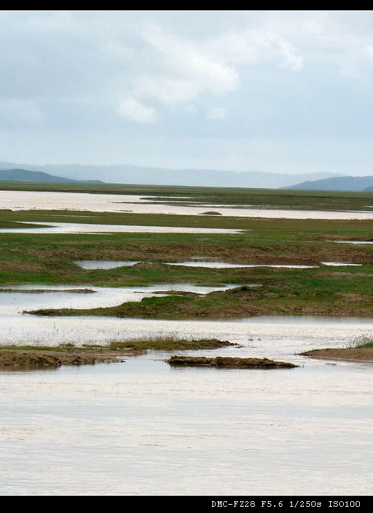 黄河桥5.jpg