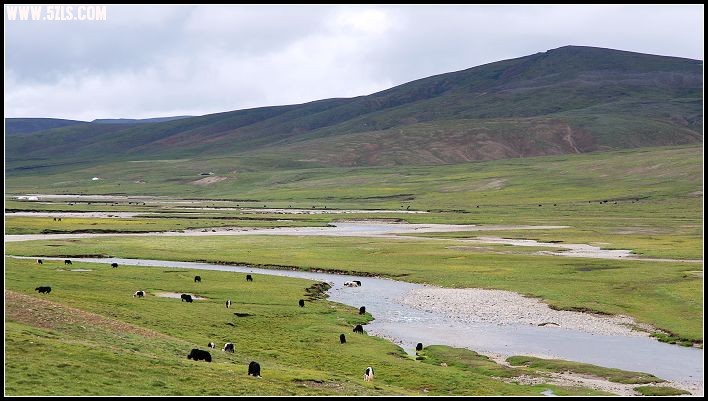 DSC_7520.jpg