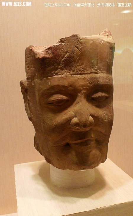 P1070525.jpg