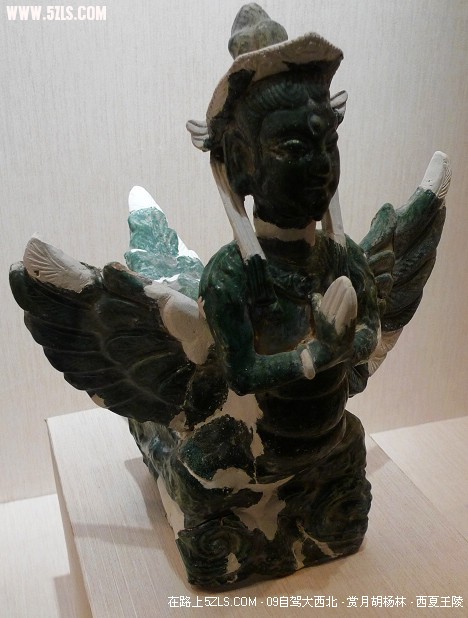 P1070527.jpg