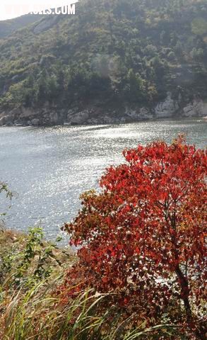 С DSC_04151.jpg