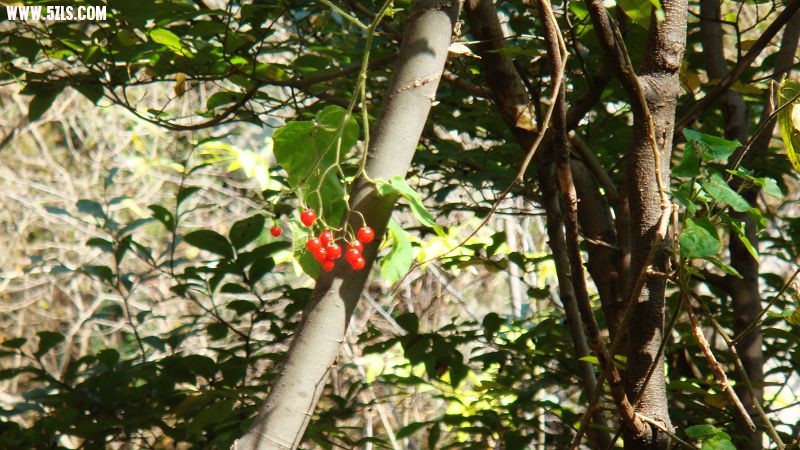 nEO_IMG_DSC09394.jpg
