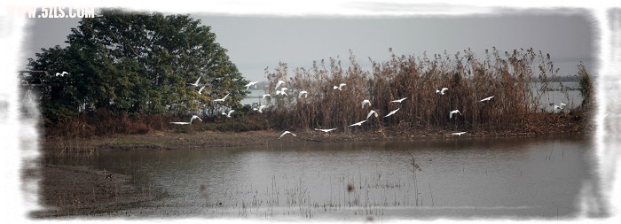 IMG_8785.jpg