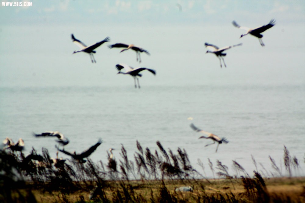 IMG_7415.JPG
