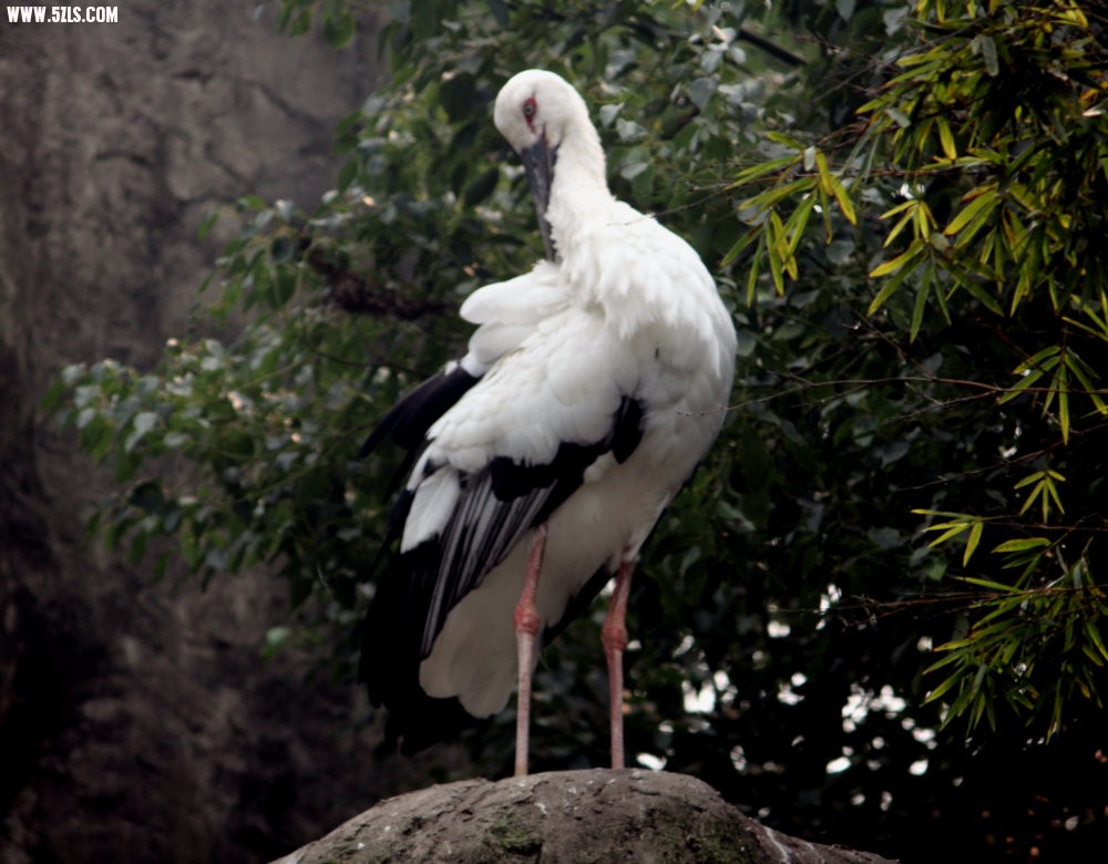 IMG_6536.JPG