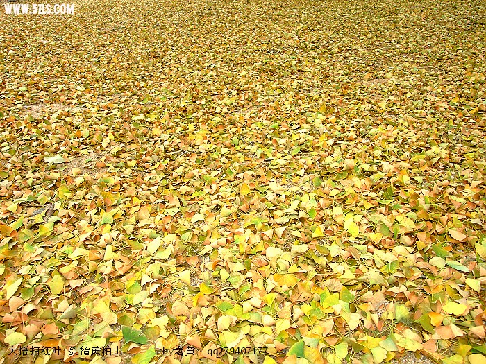 DSCF8761.jpg